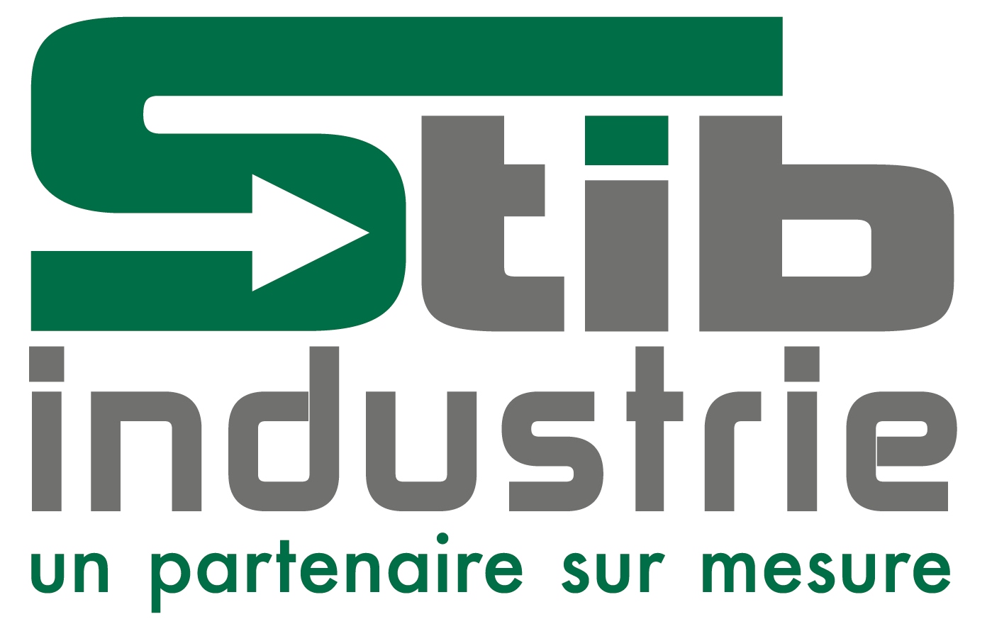 logo STIB industrie 1 devis.jpg